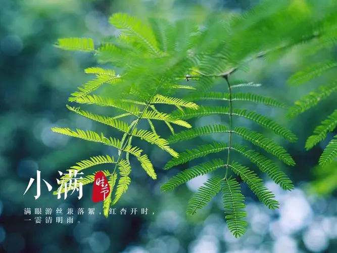 【华夏周刊】第94期诗友合辑