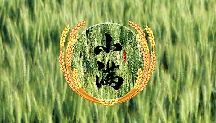 【新诗大观】小满感怀（二首）||文/王敏||诵/文嘉（图2）