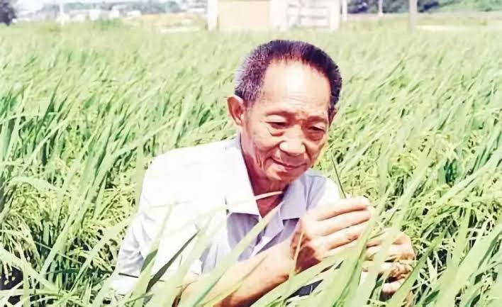 悼念袁隆平（图2）