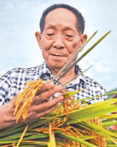 悼念袁隆平（图4）