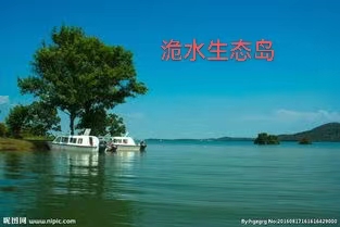 【请欣赏】胡清普《诡水湖烟雨》（图4）