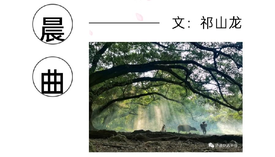 【雅诗总会】经典★艺术家萧宽《草籽宣言》刊登在《诗道中华》第一辑来自春天的问候(图7)