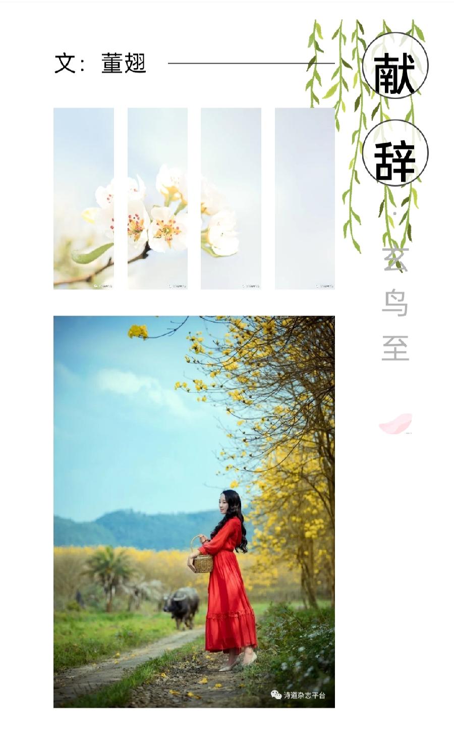 【雅诗总会】经典★艺术家萧宽《草籽宣言》刊登在《诗道中华》第一辑来自春天的问候(图13)