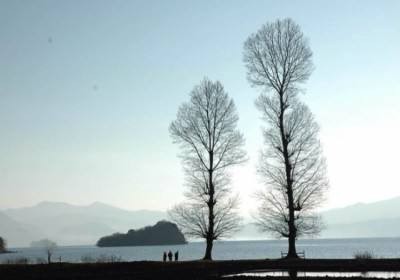*花草树木是艺术家*(外二首)文/净土红莲/旅澳华人【冰心文化传媒】(图13)