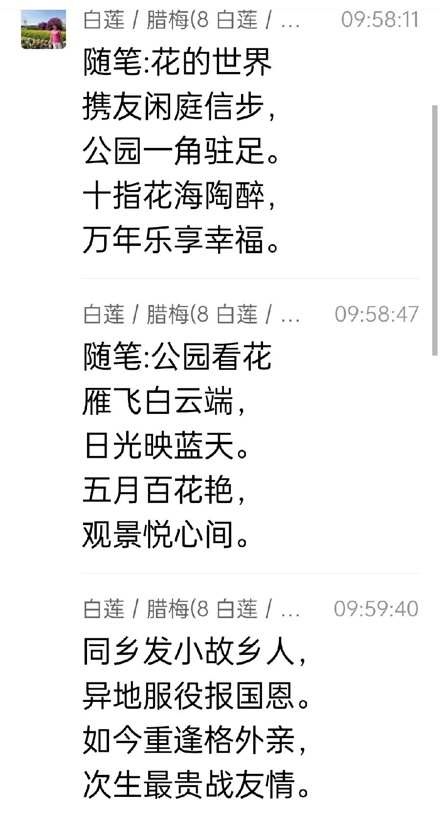【雅诗总会】精美藏头诗欣赏‖作者:白莲/腊梅（图20）