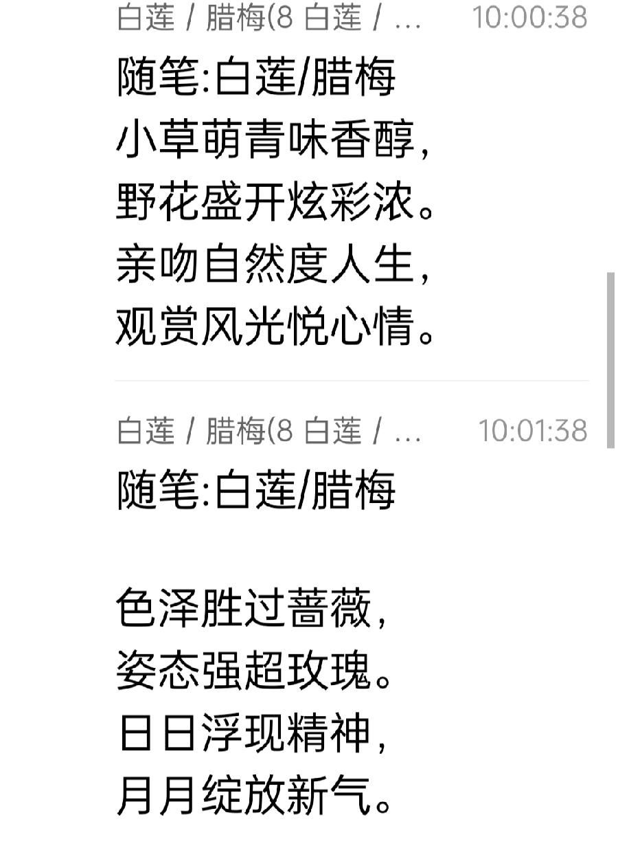 【雅诗总会】精美藏头诗欣赏‖作者:白莲/腊梅（图26）