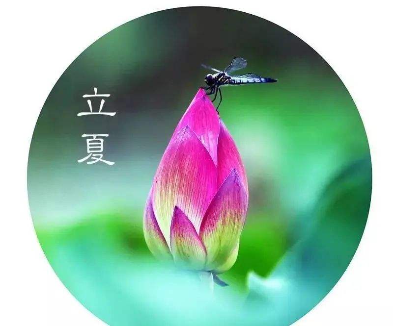 韵芘胡桂芹五二零诗词35首｜金牌主播老革命｜中国桂林都市诗社687期（图6）