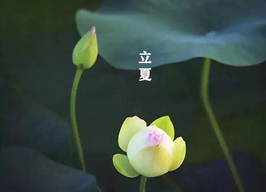 韵芘胡桂芹五二零诗词35首｜金牌主播老革命｜中国桂林都市诗社687期（图11）