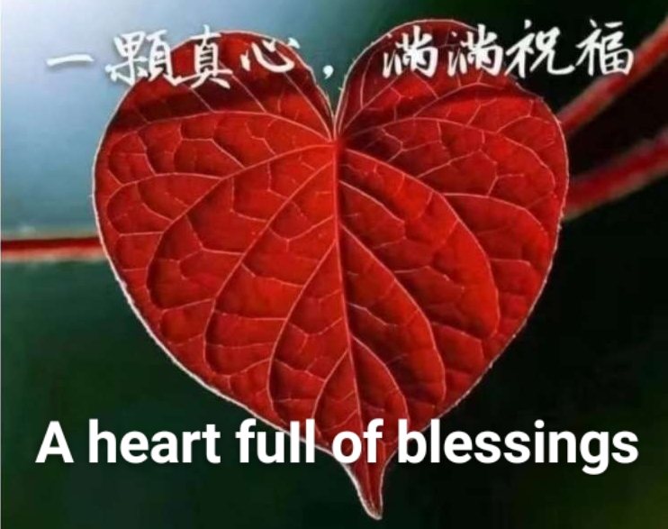 韵芘胡桂芹五二零诗词35首｜金牌主播老革命｜中国桂林都市诗社687期（图18）