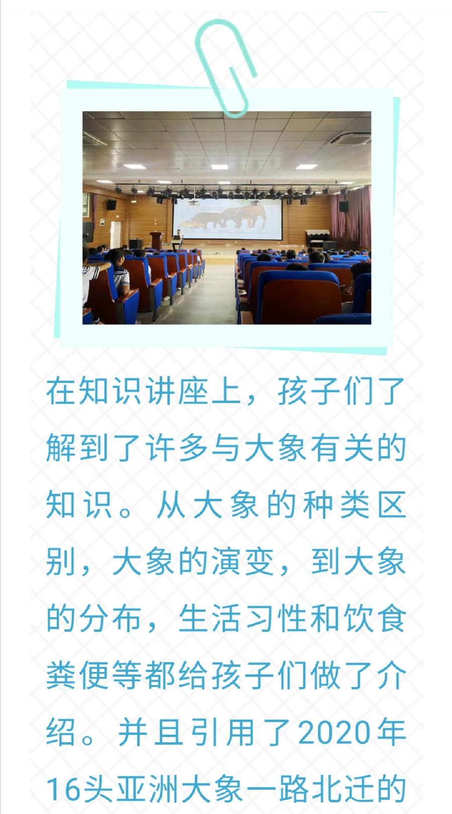 【允美教育】世界博物馆日活动（图4）