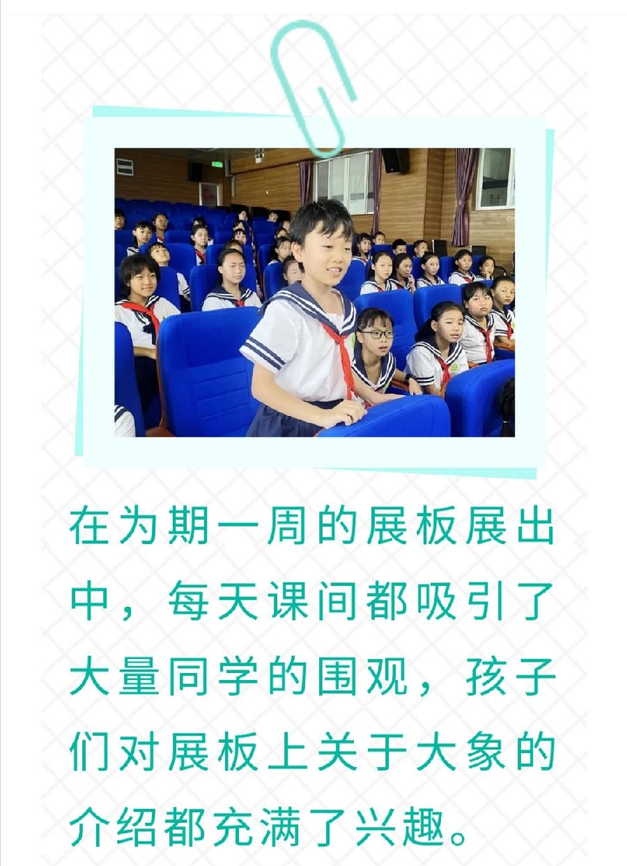 【允美教育】世界博物馆日活动（图6）
