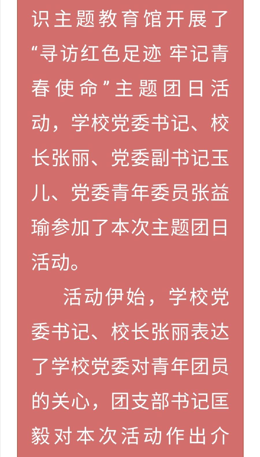 【允美团建】允景洪小学团支部开展主题团日活动（图3）