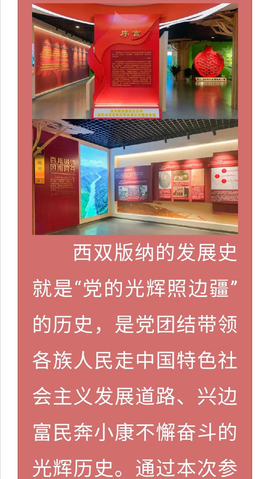 【允美团建】允景洪小学团支部开展主题团日活动（图9）