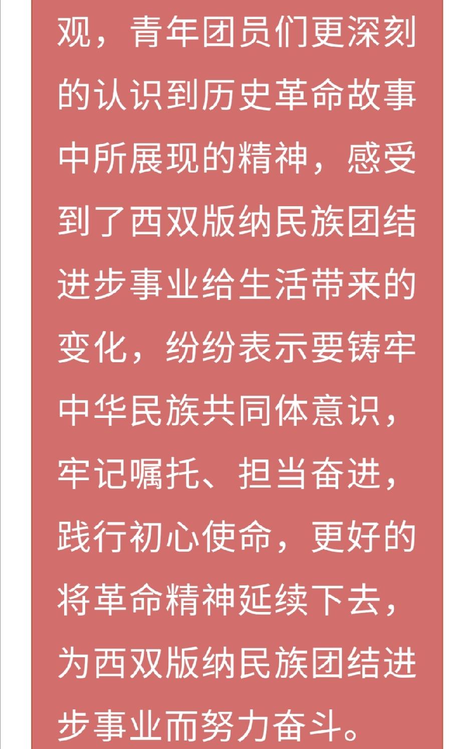 【允美团建】允景洪小学团支部开展主题团日活动（图10）