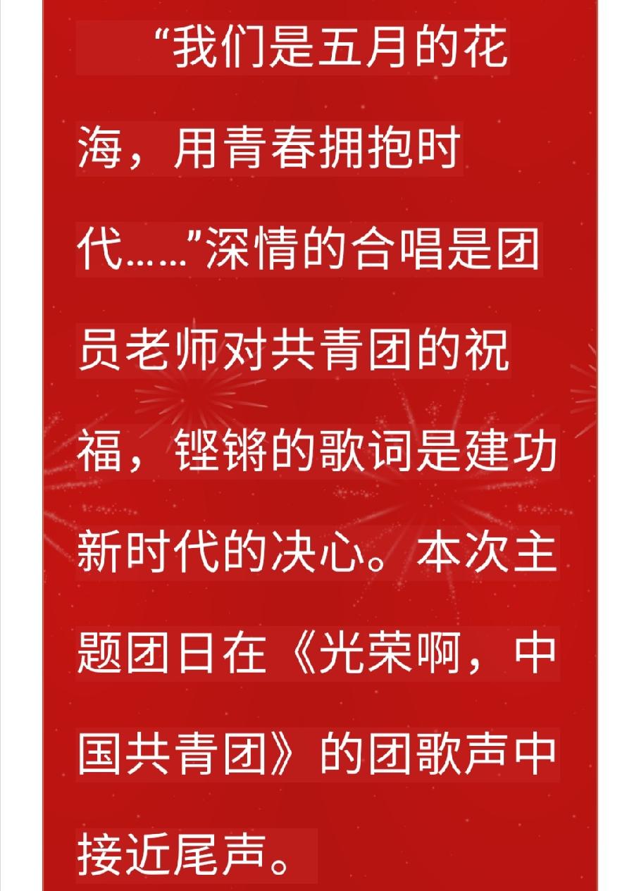 【允美团建】允景洪小学团支部开展主题团日活动（图16）