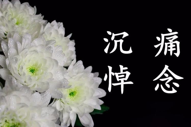 记广语老师 作者:蔡雨芳华 京津沪头条文学平台发布(图3)