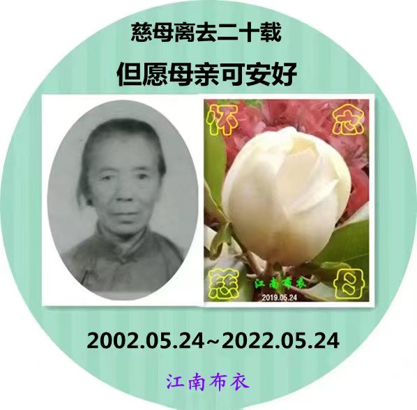 《“子欲养而亲不待”的悔悟——写在母亲去世20周年》作者/江南布衣 主播/一土黄沙 审核/庆福(图2)
