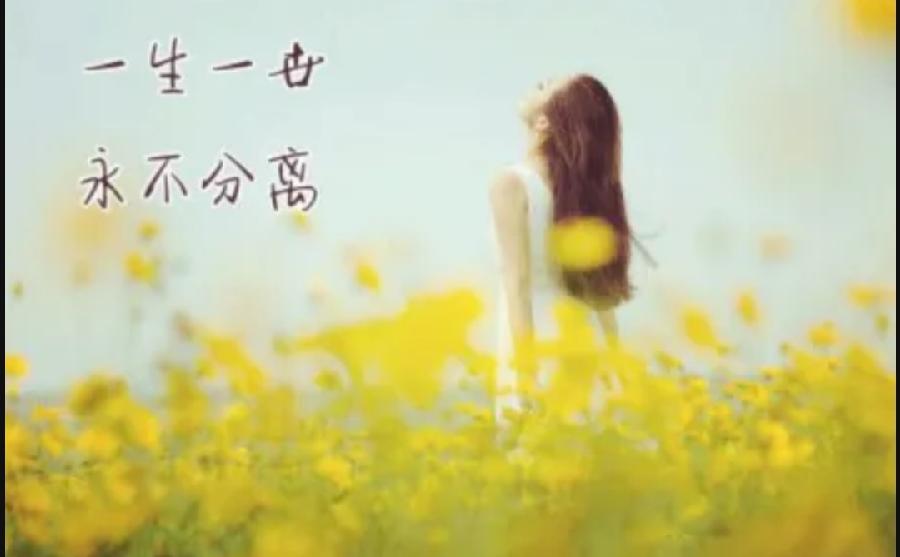 祥云老师诗歌《5.20是个特别的日子》主播：梅竹 编辑：小鱼儿 【北疆头条】（第222期）（图3）