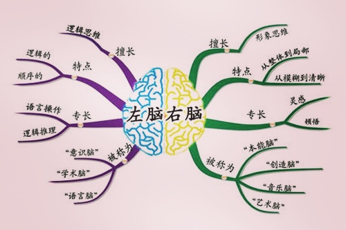 孟国泰说新课标（3）：关于导