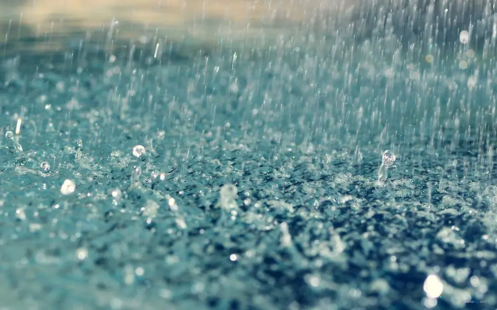 【诗生活】西北老客‖夏雨