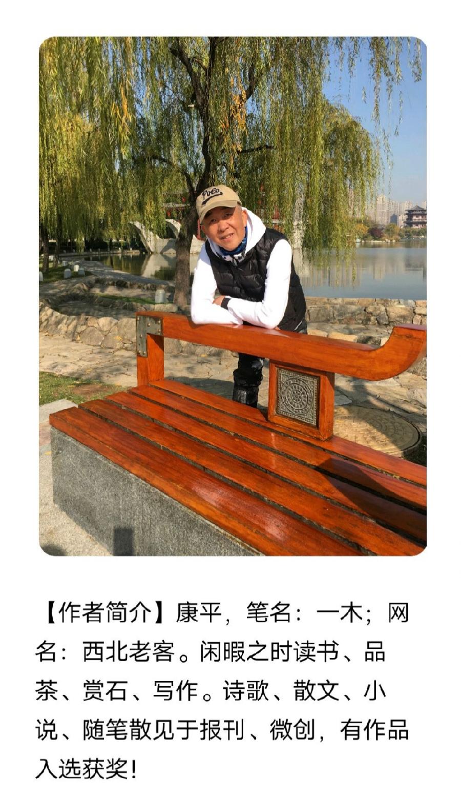 【诗生活】西北老客‖夏雨（图2）