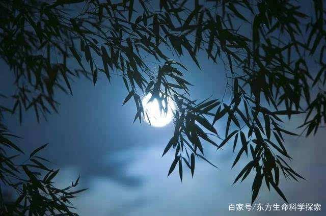 【新山东文学社】《多情的夏夜》作者/戴森 主播/海豚（图3）