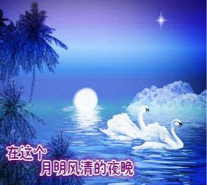 【新山东文学社】《多情的夏夜》作者/戴森 主播/海豚（图7）