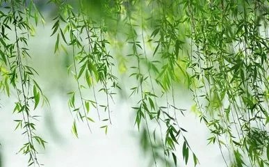 【有声诗刊专辑】‖ 作者： 晚秋| 主播：宏红【第23期】审核：宏红（图3）
