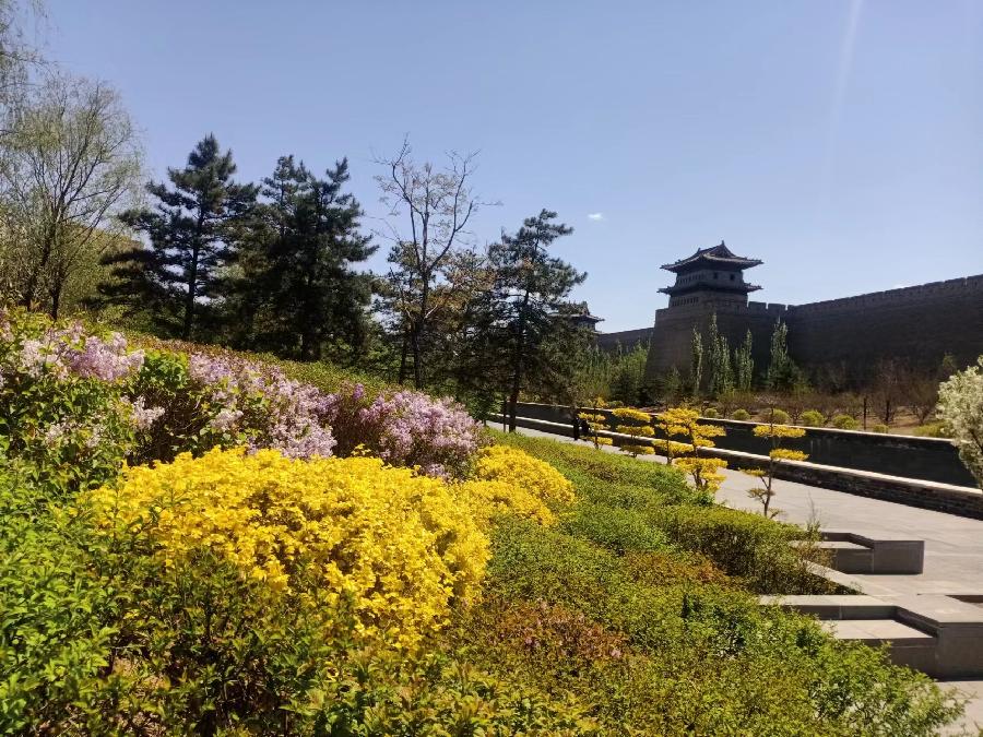 大同美景（图6）