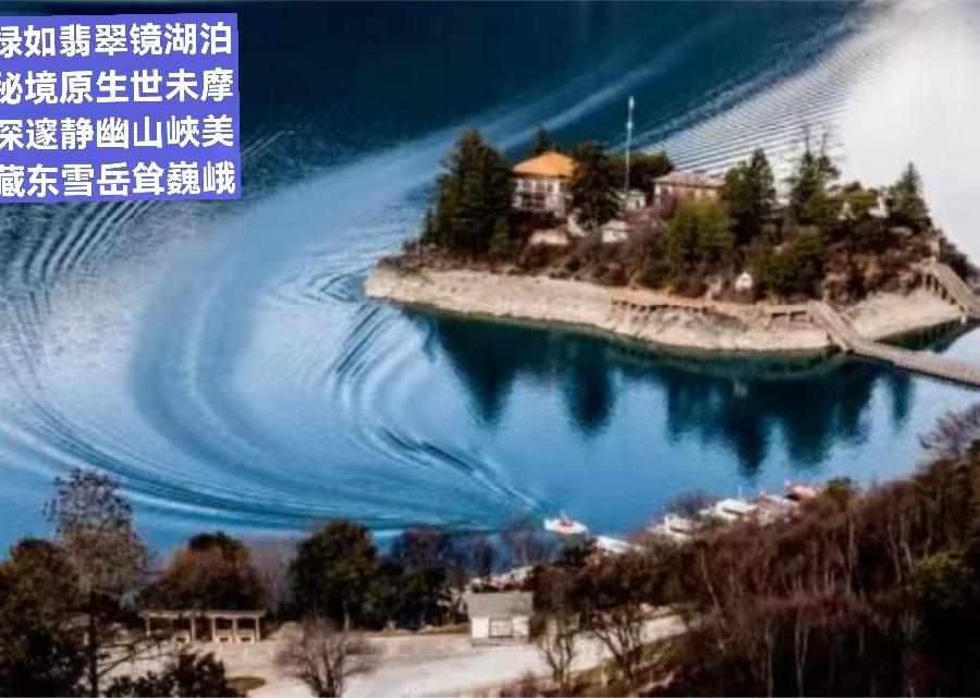 题图-竹林享清凉（外一首）文/小茶一丛（图5）