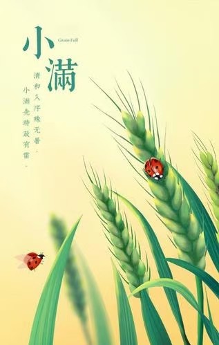 【诗歌小辑】作者 芦国柱（江苏）【冰心文化传媒】（图5）
