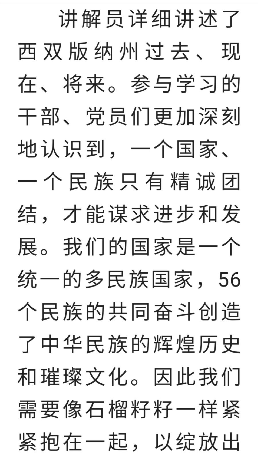 西双版纳州第一中学党委开展“铸牢中华民族共同体意识”主题教育活动州一中党政办（图4）