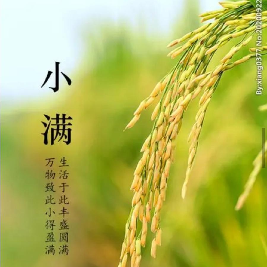 【九江文学社：北京头条】优秀诗人王楼先生诗词精选（图11）