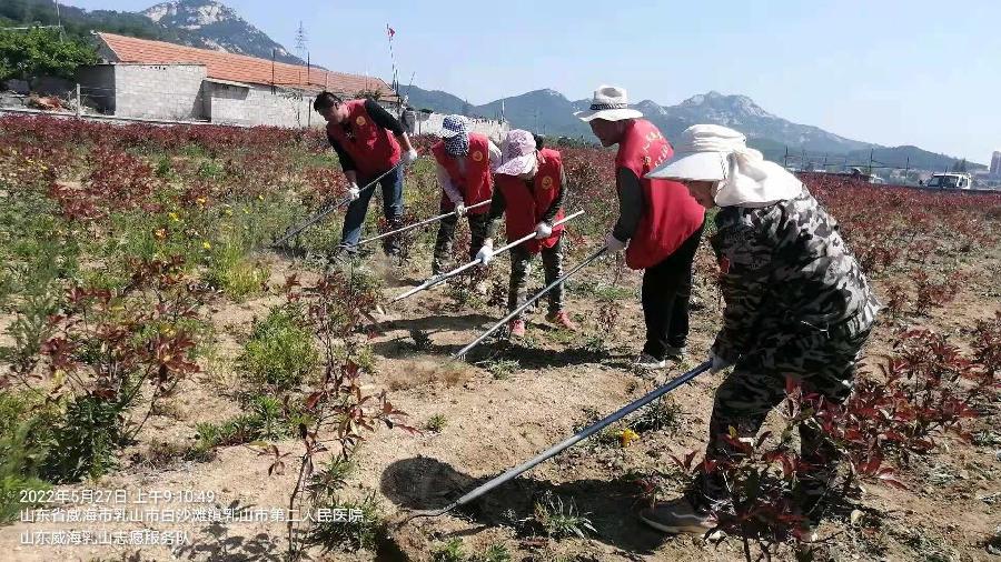 志愿服务到田间 真情助农作贡献(图2)