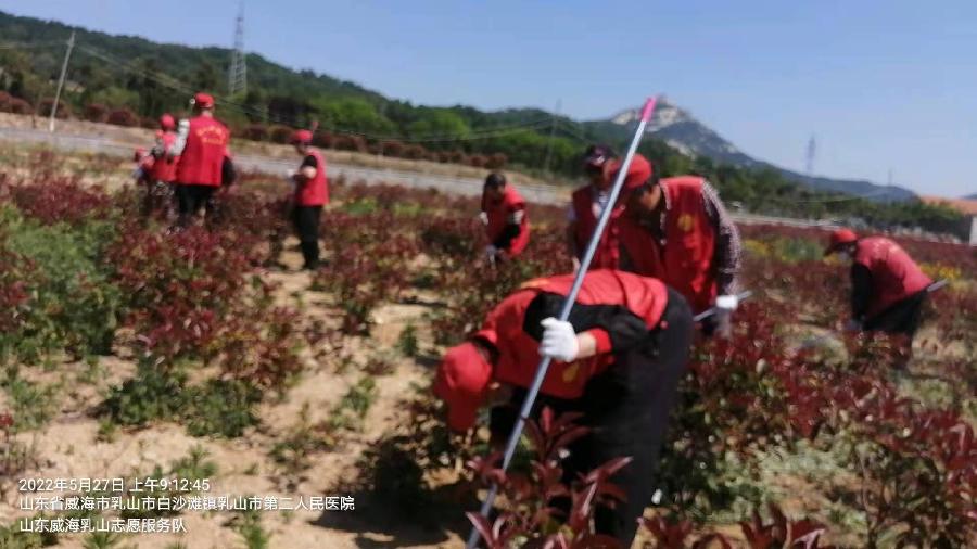 志愿服务到田间 真情助农作贡献(图3)