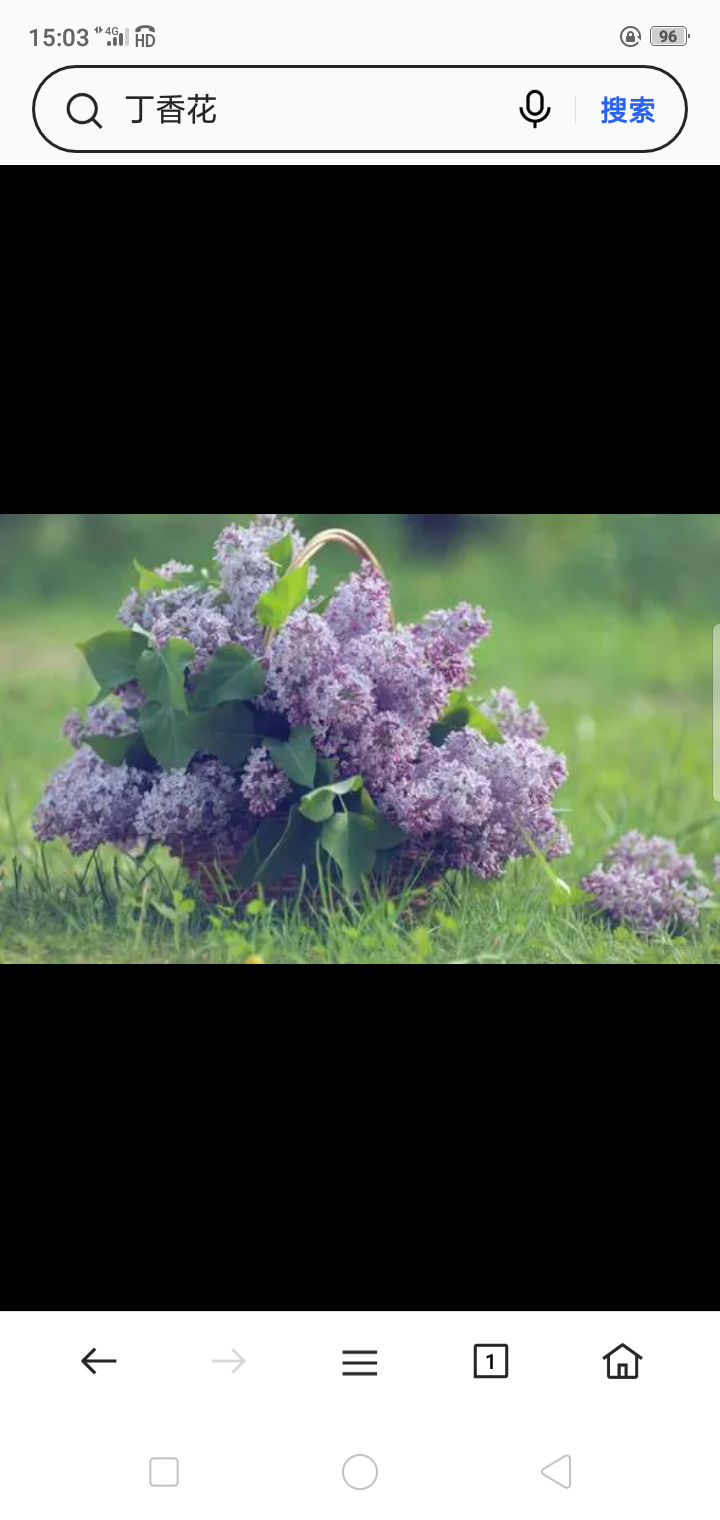 林茂花香（图3）