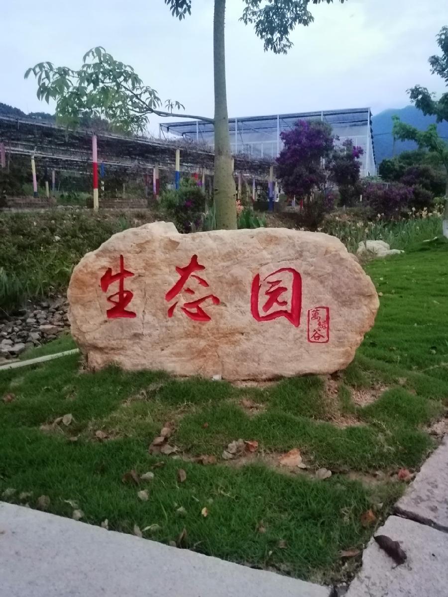 中国作家诗人 ‖ 陈卫国：万绿谷游记（图5）
