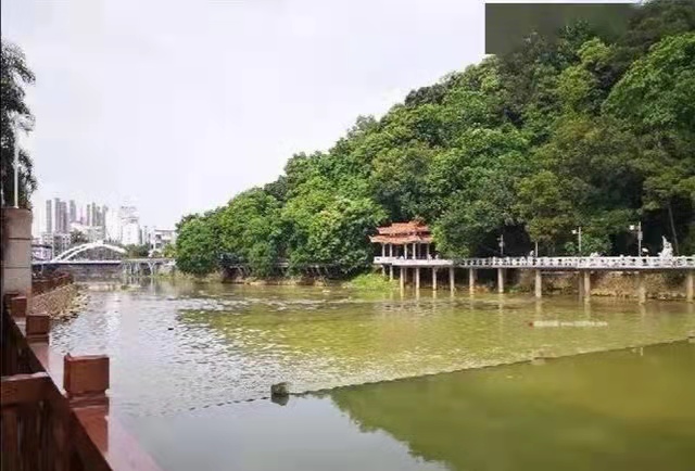 【诗生活】山贼‖在闽西这片热土（图2）