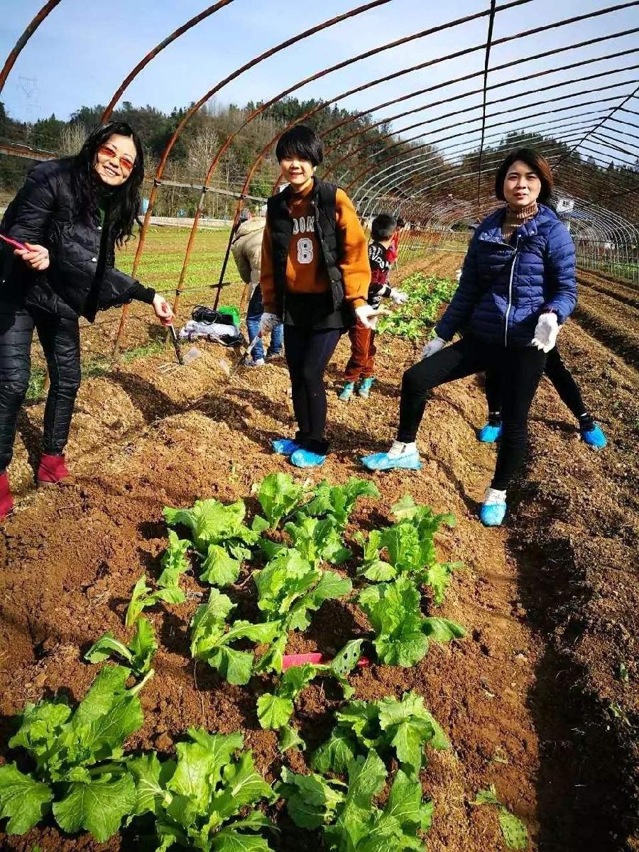 *夏日的早晨*（外一首）作者 任国璠（甘肃兰州）【冰心文化传媒】（图4）