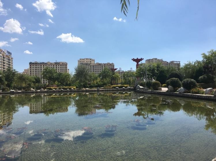 *夏日的早晨*（外一首）作者 任国璠（甘肃兰州）【冰心文化传媒】（图3）