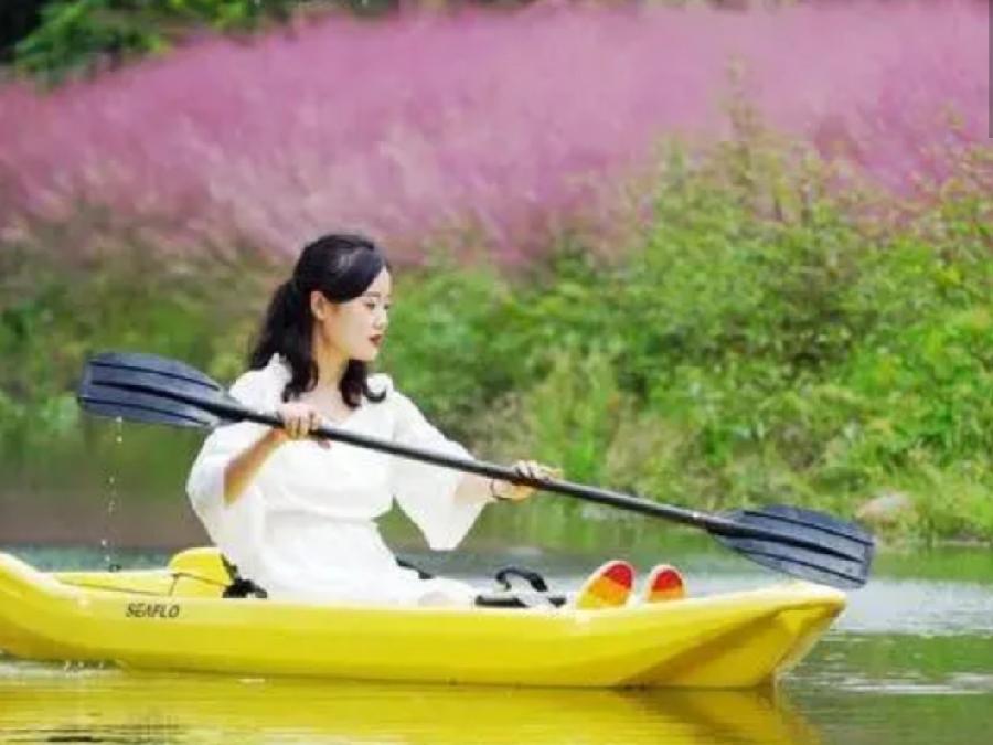 【九江文学社：有声文学】《湘女多情空自许，九州华夏满庭芳》文/梦在远方 诵读/凤凰之歌（图4）
