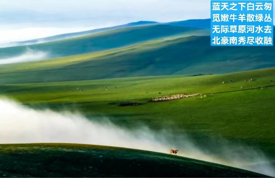 题图-浙江秘境陈家铺 〈外一首）文/小茶一丛（图6）