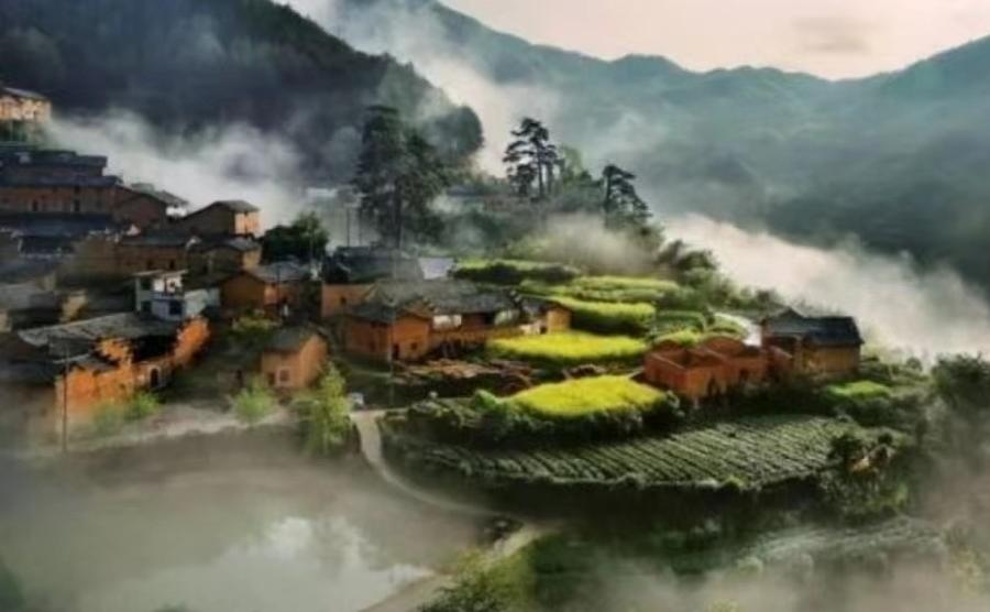 题图-浙江秘境陈家铺 〈外一首）文/小茶一丛（图3）