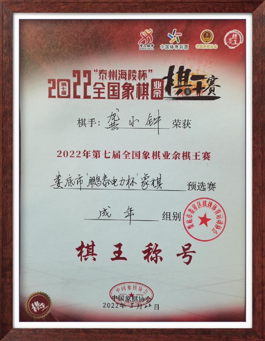 王界明‖鹏泰杯象棋赛／个人专辑第38期 京津沪头条文学平台发布（图3）