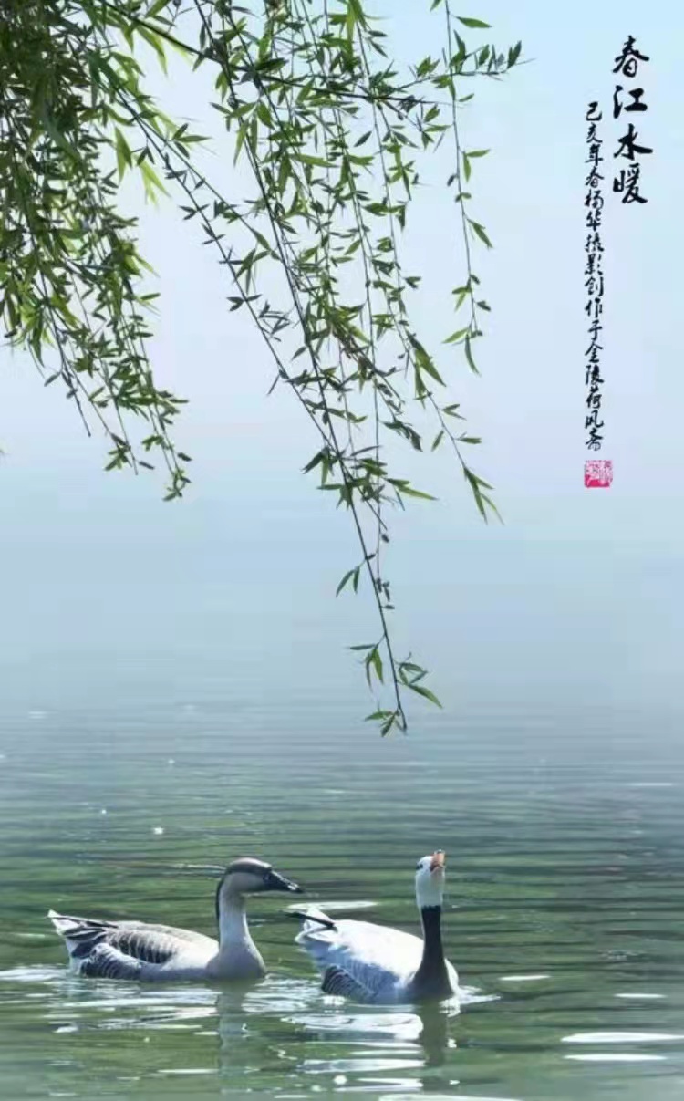我爱你,诗歌(外一首)文/寻仙(图2)