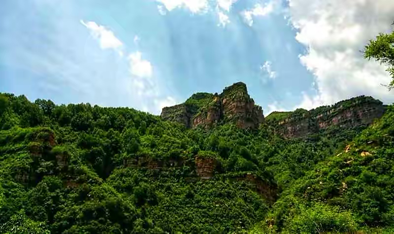 【新诗大观】何首乌传奇凤凰山||文/沈五群(图2)