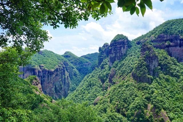 【新诗大观】何首乌传奇凤凰山||文/沈五群(图6)
