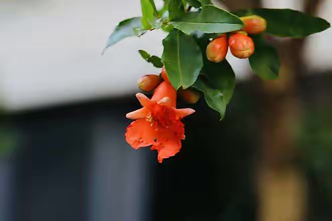 【新诗大观】夏，越走越深||文/宋茂林（图2）