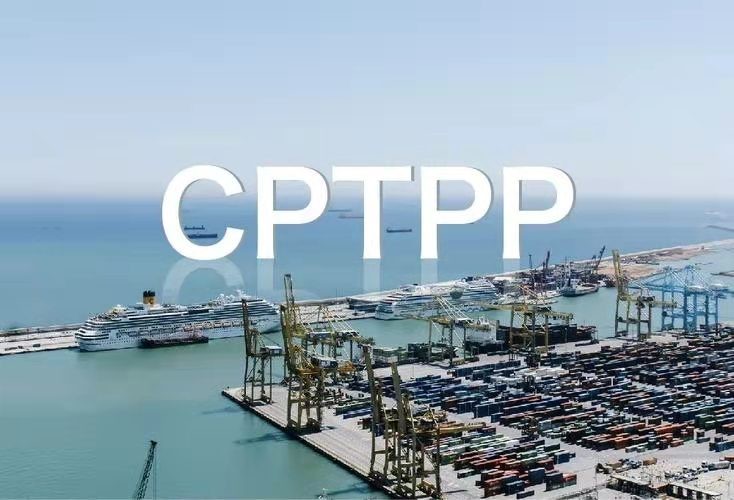 捣练子-拜登ⅠPEF遭显龙CPTPP拆台 文/冯志清(上海)【冰心文化传媒】(图7)