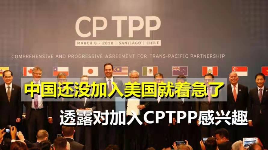 捣练子-拜登ⅠPEF遭显龙CPTPP拆台 文/冯志清(上海)【冰心文化传媒】(图12)